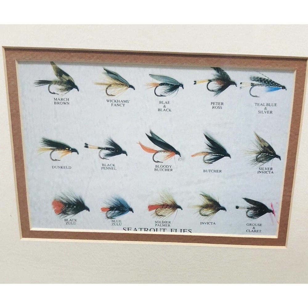 VINTAGE Sea Trout Flies framed print 9”x11” Art